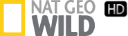 Nat Geo Wild dévoile la beauté de la vie sauvage et révèle les merveilles de la planète. À l'heure où l'environnement est devenu une cause mondiale, Nat Geo Wild permet aux téléspectateurs de mieux comprendre les enjeux de notre écosystème et les dangers qui le menacent. Nat Geo Wild
